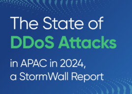 StormWall Releases DDoS Attack Report